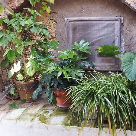 Вилла Casa Lujan - Califa Casas Vejer Вьер де ла Фронтера Экстерьер фото