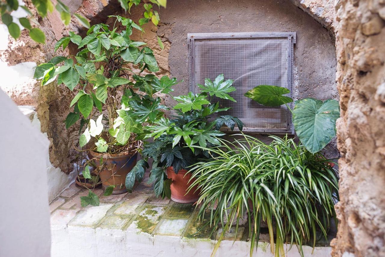 Вилла Casa Lujan - Califa Casas Vejer Вьер де ла Фронтера Экстерьер фото